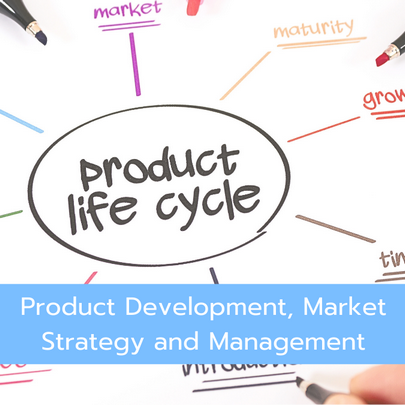 product development product management